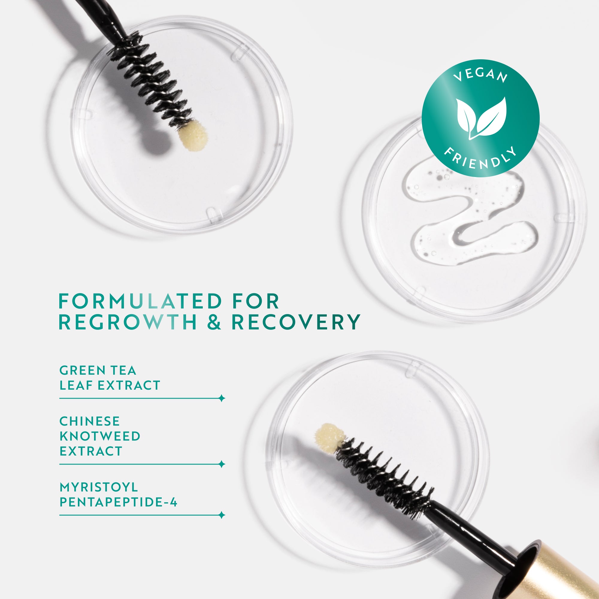 Grow & Glow holiday Set