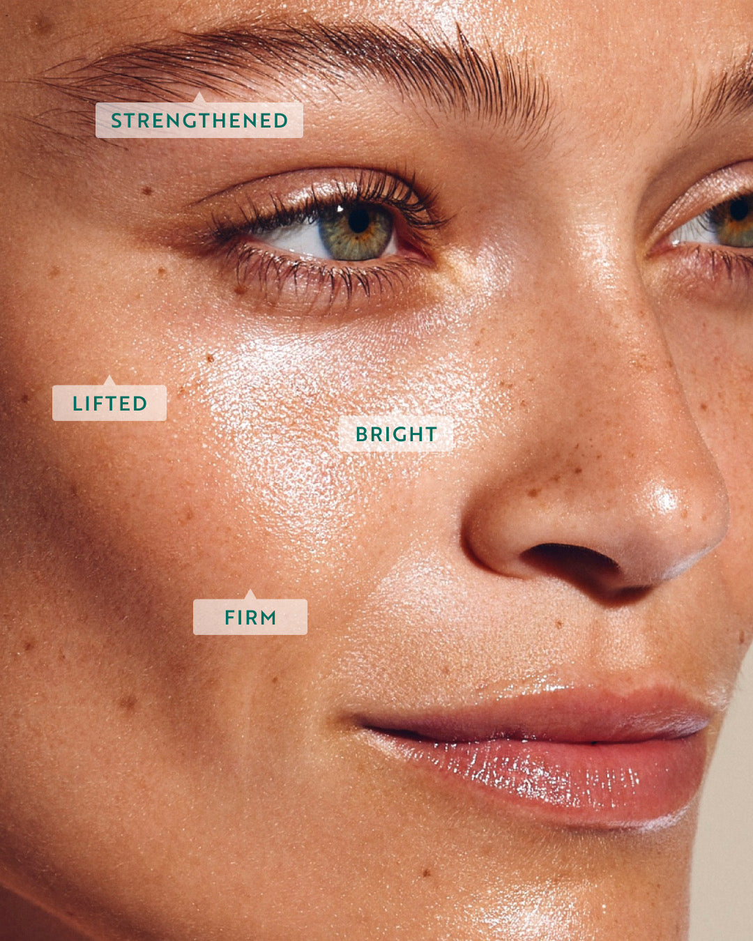 Grow & Glow holiday Set