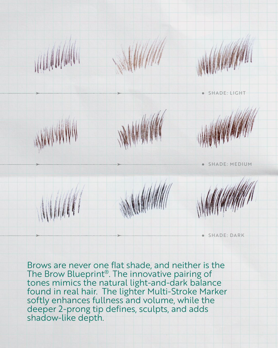 The Brow Blueprint ®