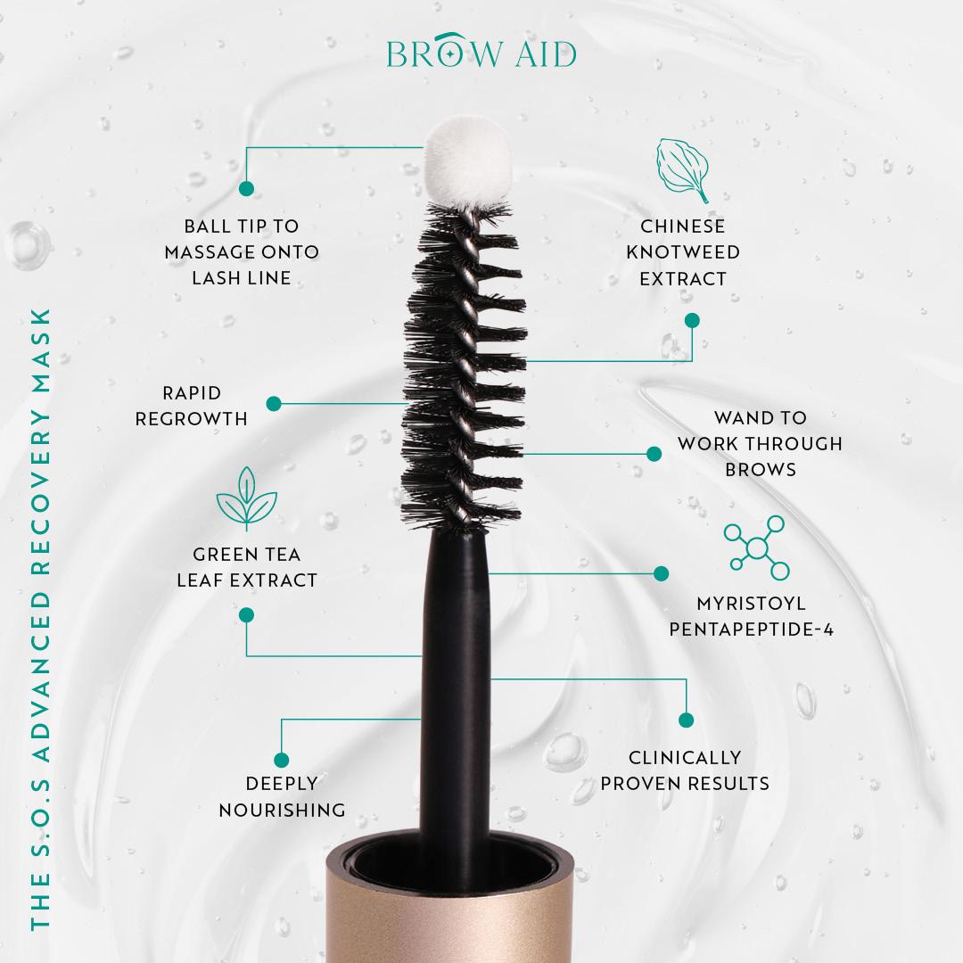 The Brow Duet