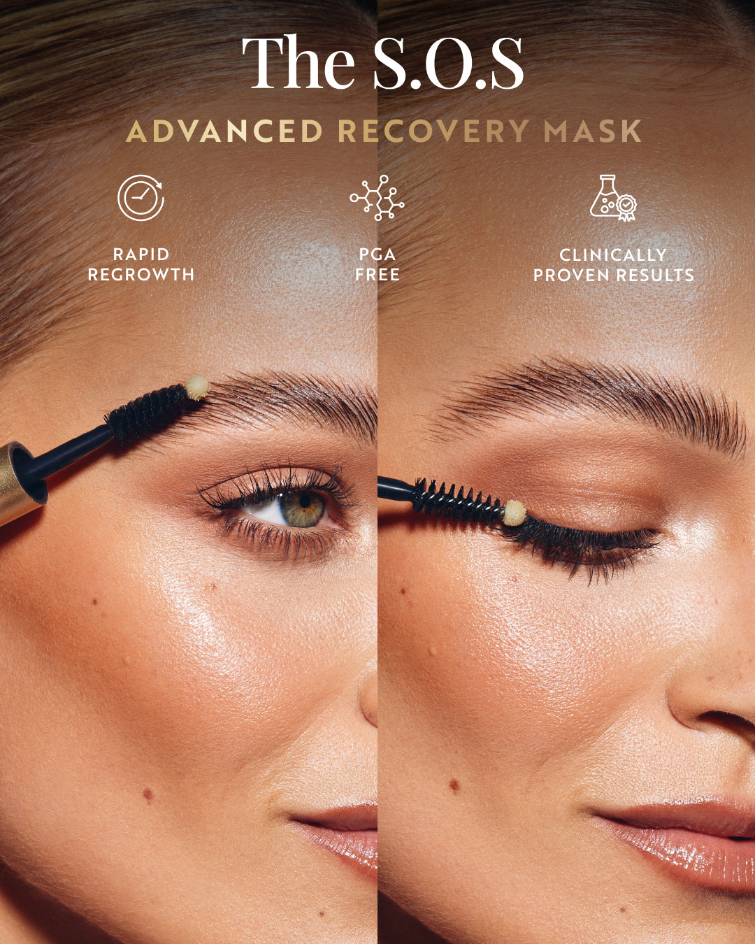 The Brow Duet