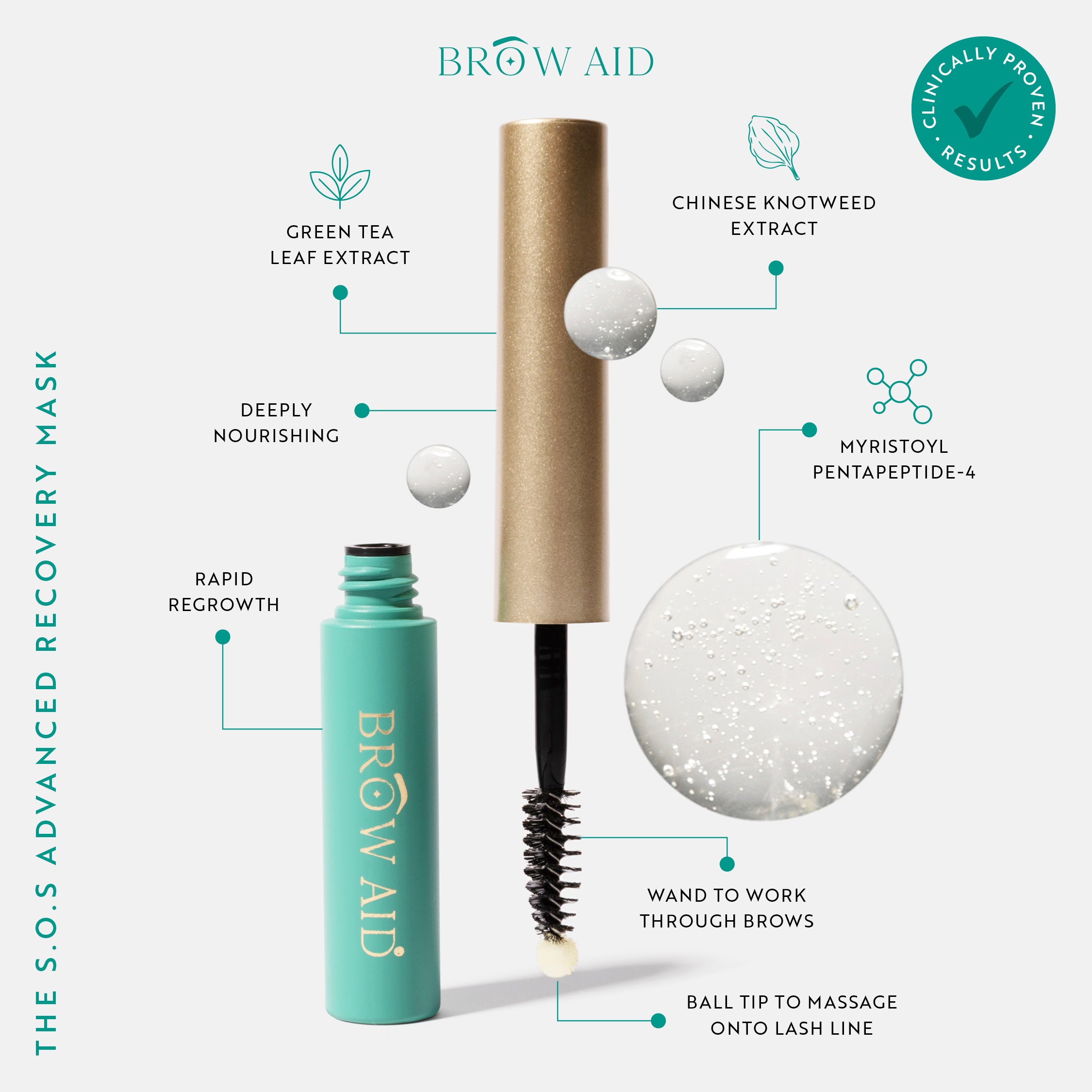 The Brow Duet