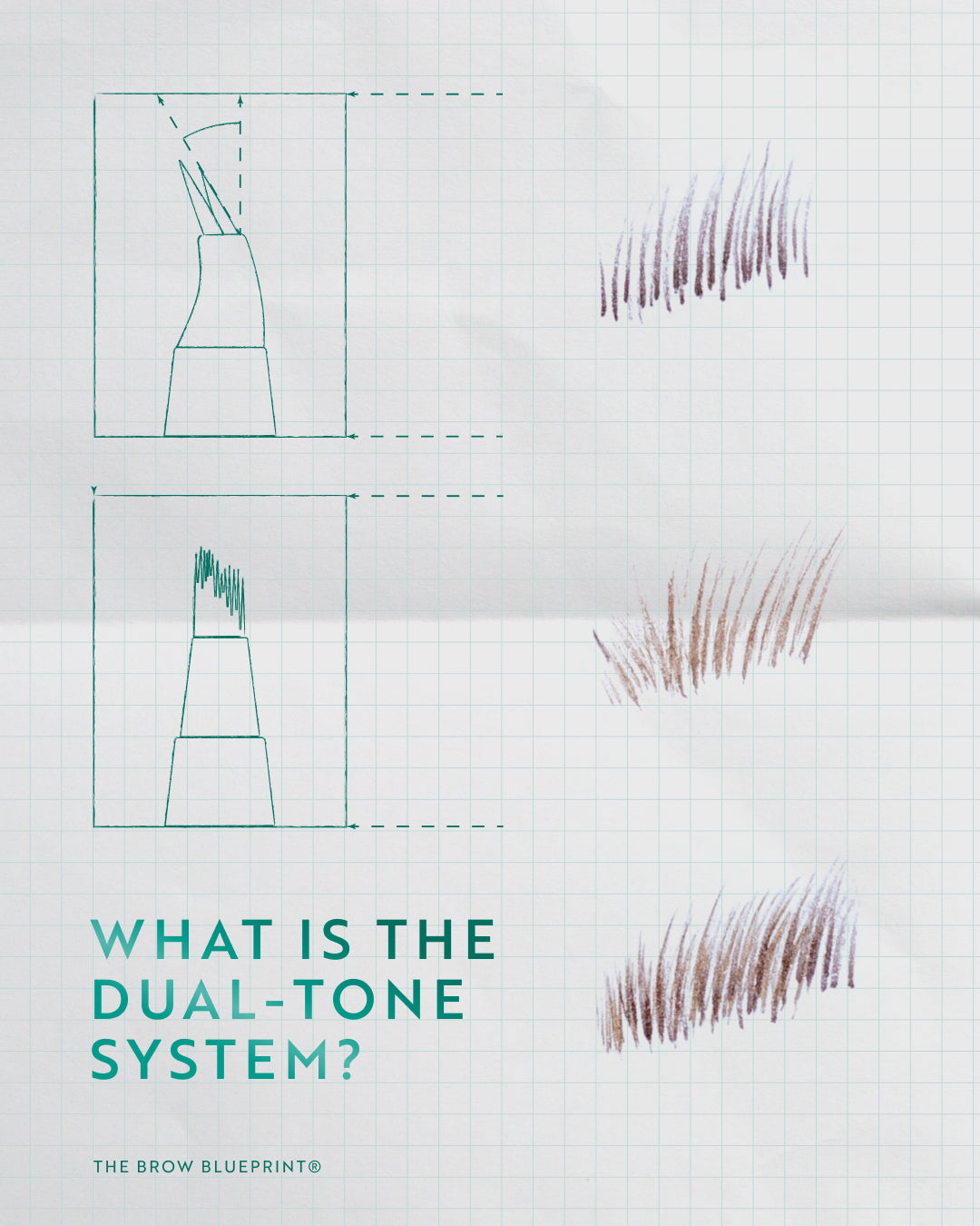 The Brow Blueprint ®